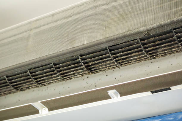 Air Duct Mold Removal in GA